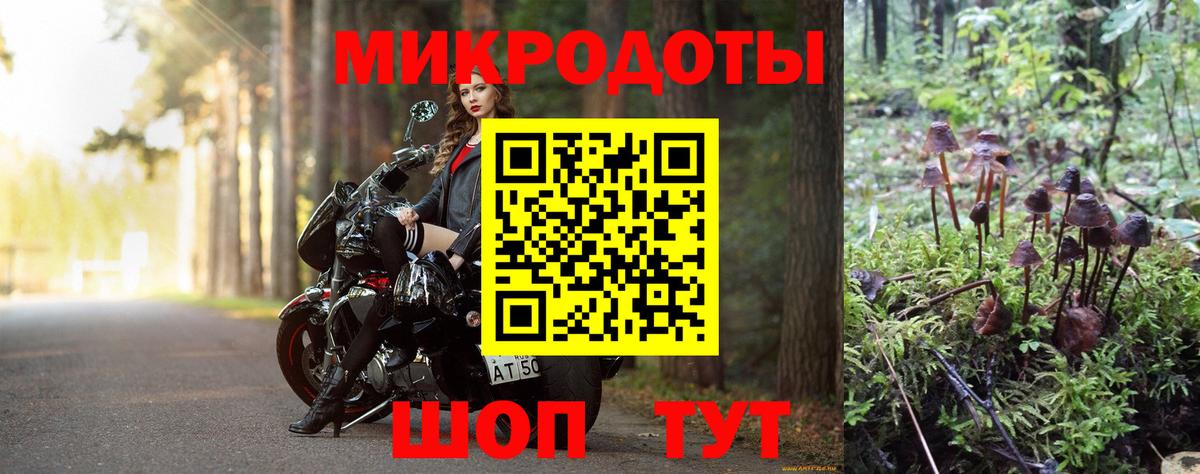 Псилоцибиновые грибы мицелий Сланцы